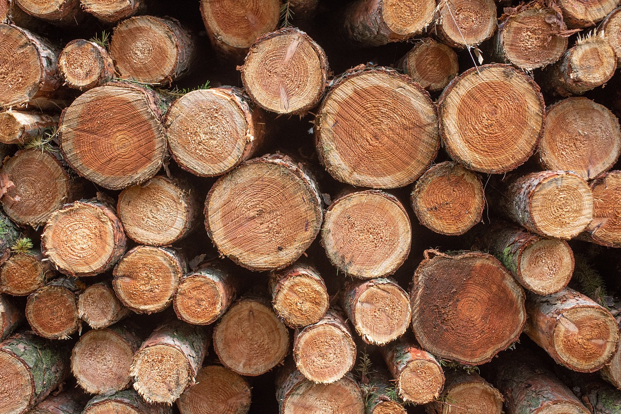 wood, logs, bole-6816499.jpg